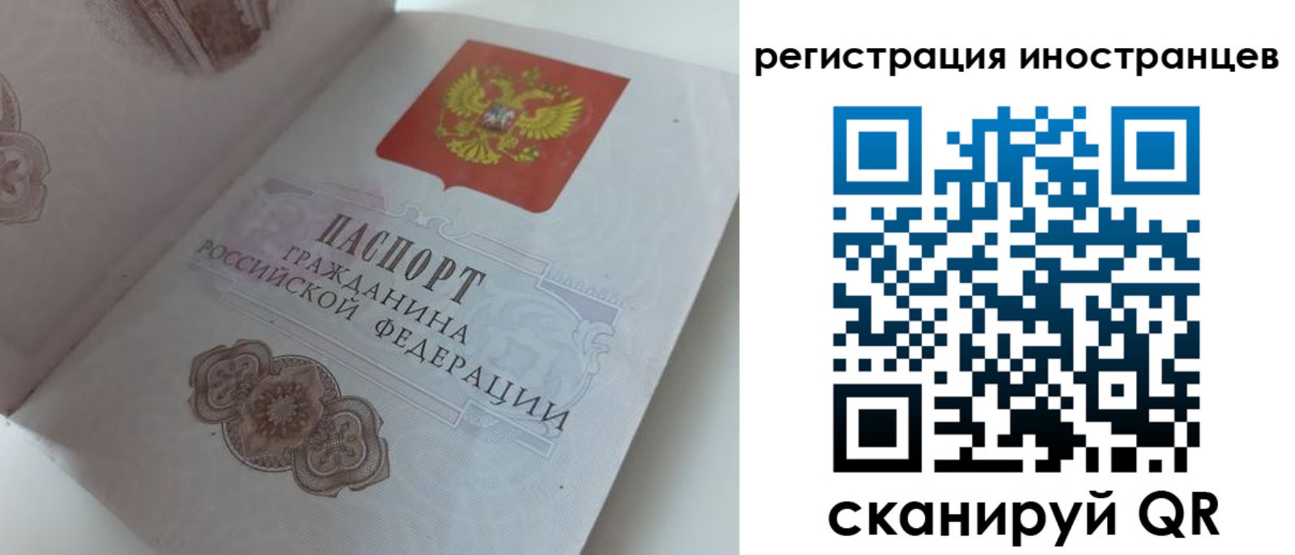 временная прописка в Лыткарино
